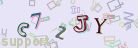 This is a captcha-picture. It is used to prevent mass-access by robots. (see: www.captcha.net)